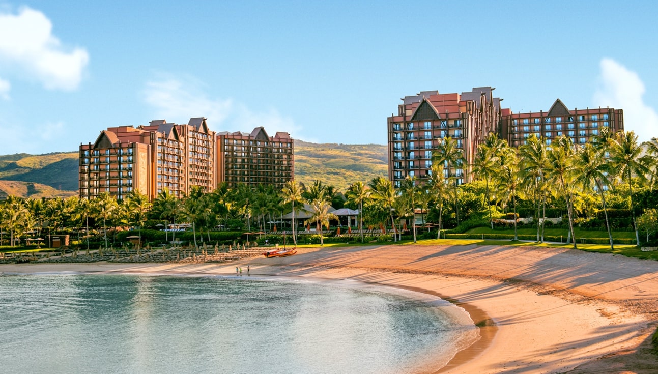 DVC Member Benefits Beyond Rooms